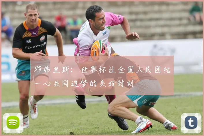 邓弗里斯：世界杯让全国人民团结一心共同追梦的美好时刻