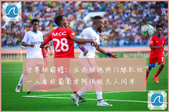 世界杯前瞻：法西领跑热门球队仅一人看好葡萄牙阿根廷无人问津